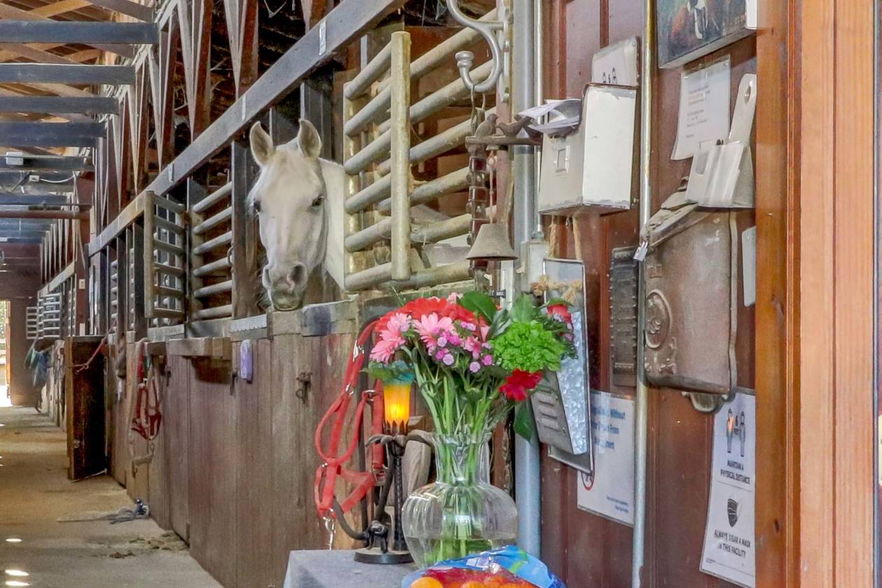 Boarding/Training Facility backing to the LA Equestrian Center
