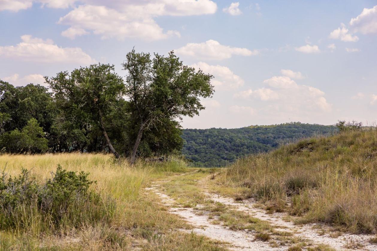 Grand View Ranch - photo 6