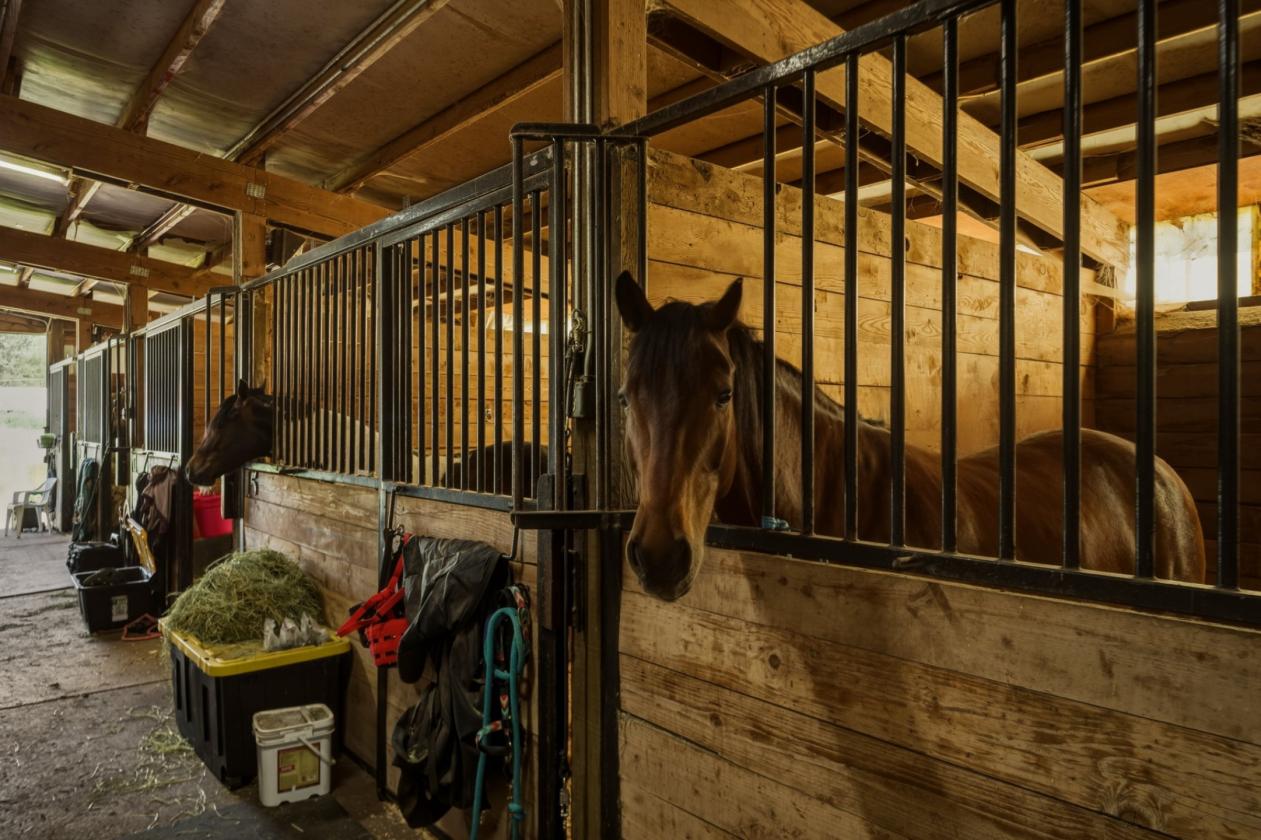 Legacy Boarding Facility w/ 41 Stalls & 2 Arenas - photo 13