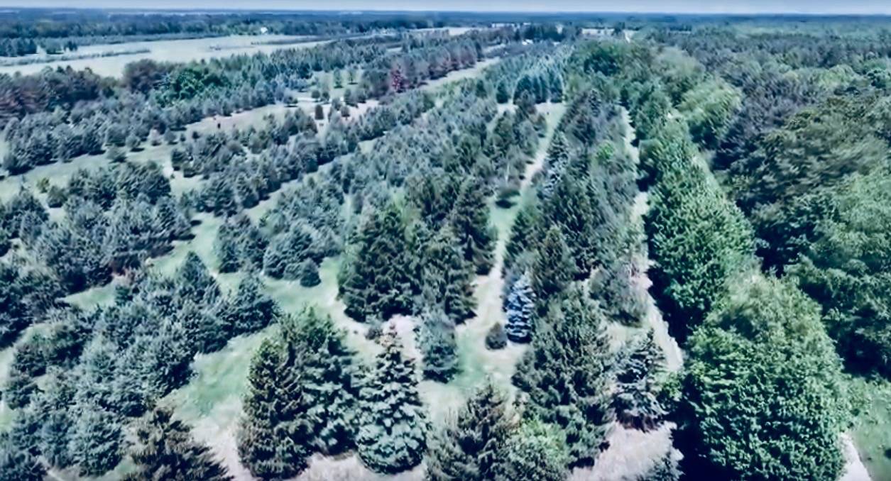 Horse farm for sale Applegate, Sanilac County, Michigan