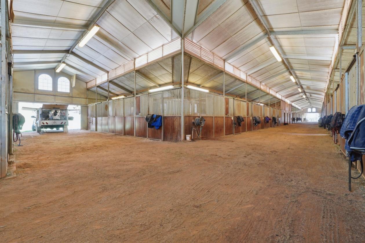 Premier 51± Acre Equestrian Opportunity - photo 18