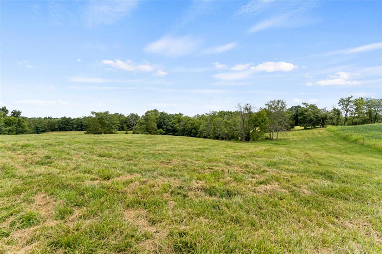 Over 173 acres for your equestrian dreams - photo 13