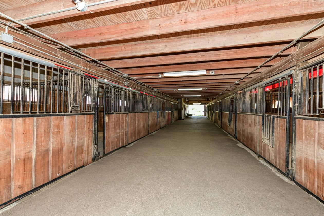 MUNCIE 34 ACRES HORSE FACILITY (3 parcels) - photo 18
