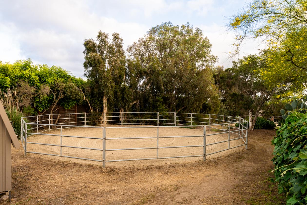 Rancho Santa Fe Lifestyle. County Freedom. No HOA. - photo 30