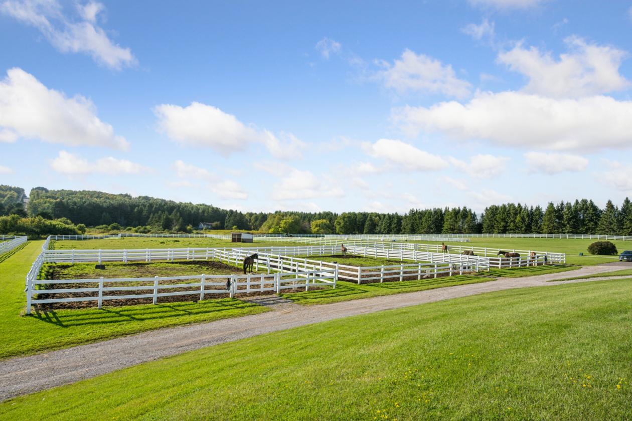 Spring Hill Farm on 98 Acres - photo 16