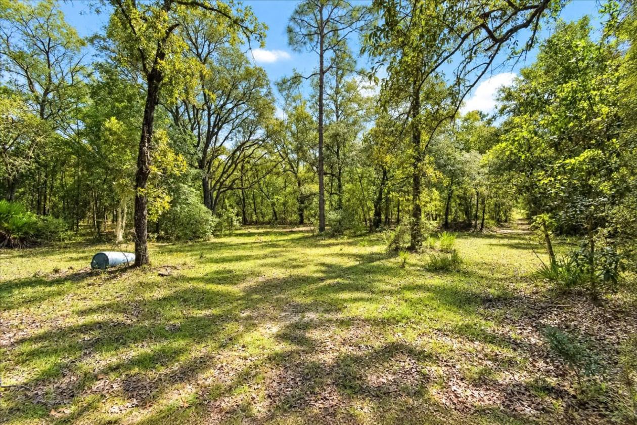 32 ACRES IN LEVY COUNTY NEAR WILLISTON - photo 10