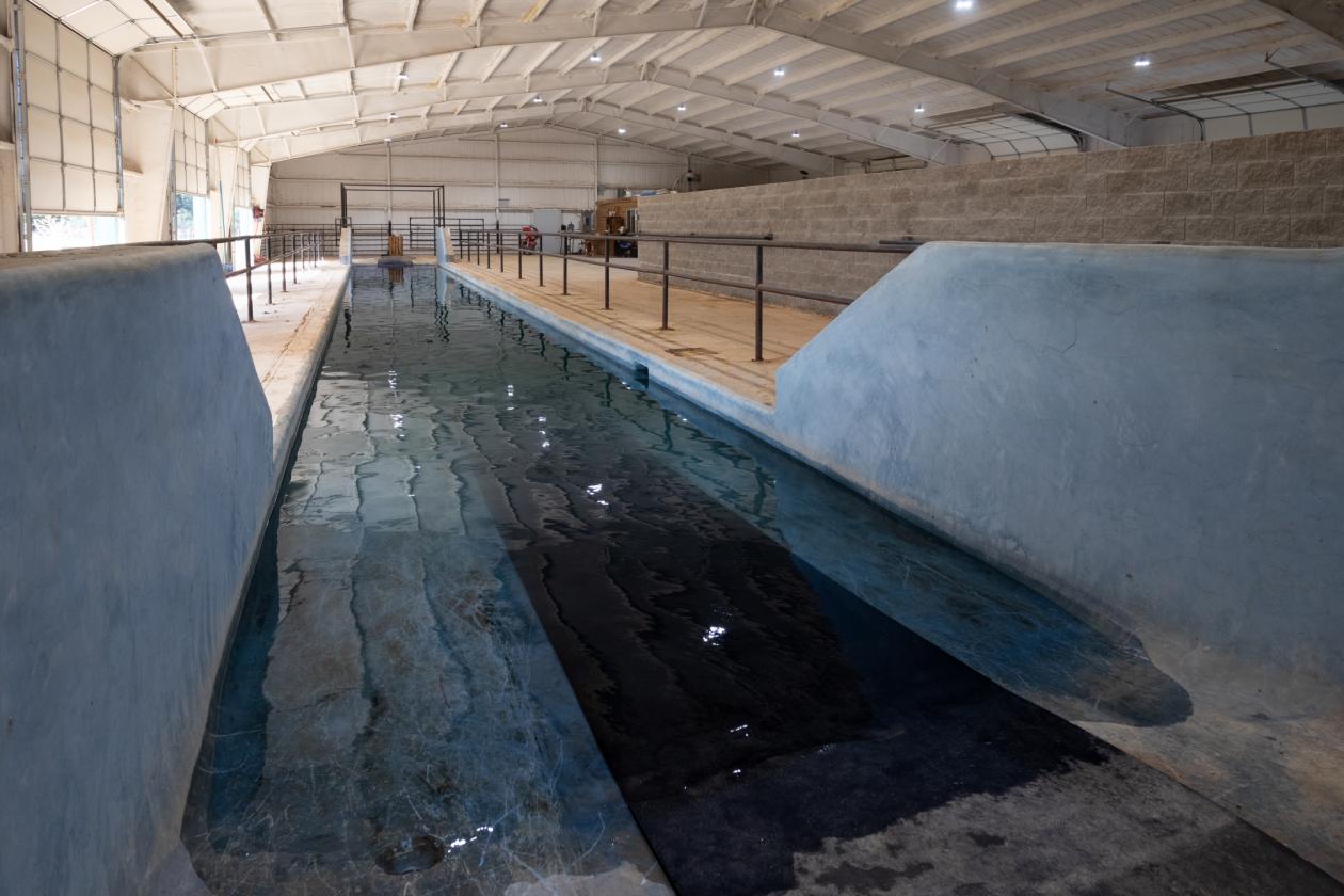 Income producing aquatread and covered arena - photo 25