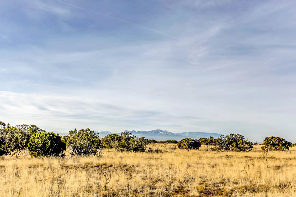 155 VIEW Acres - photo 3
