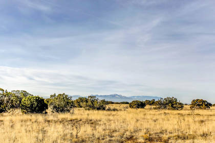 Property image.
