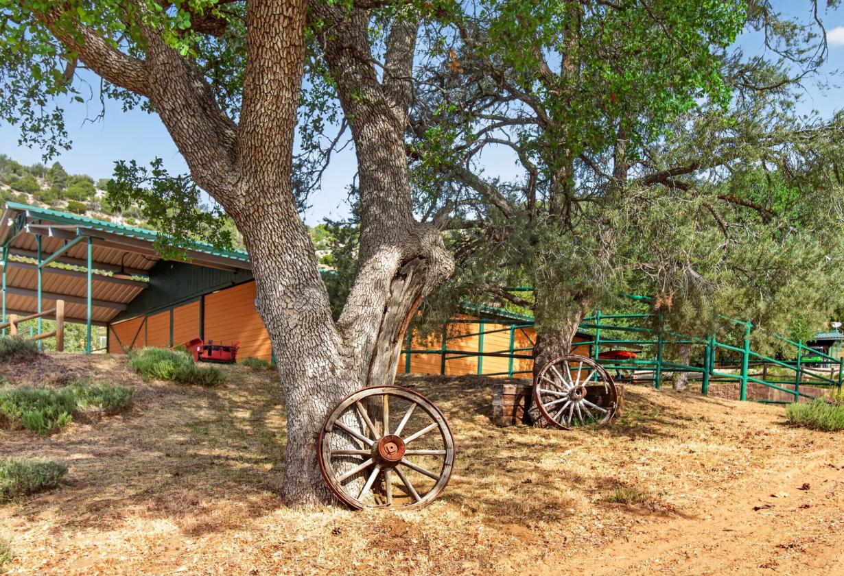 Exquisite 23.6 Acre Equestrian Estate - photo 23