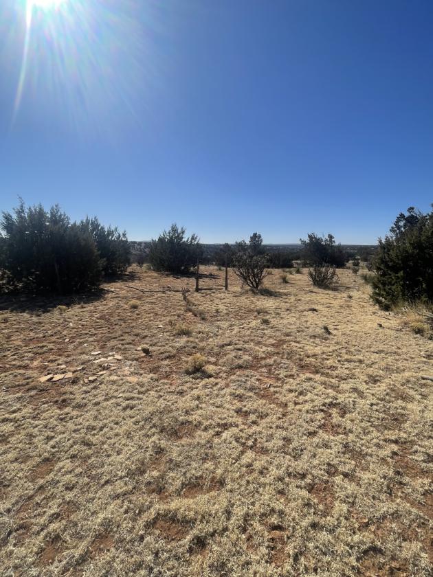 Pecos River Valley Farm Land - photo 5