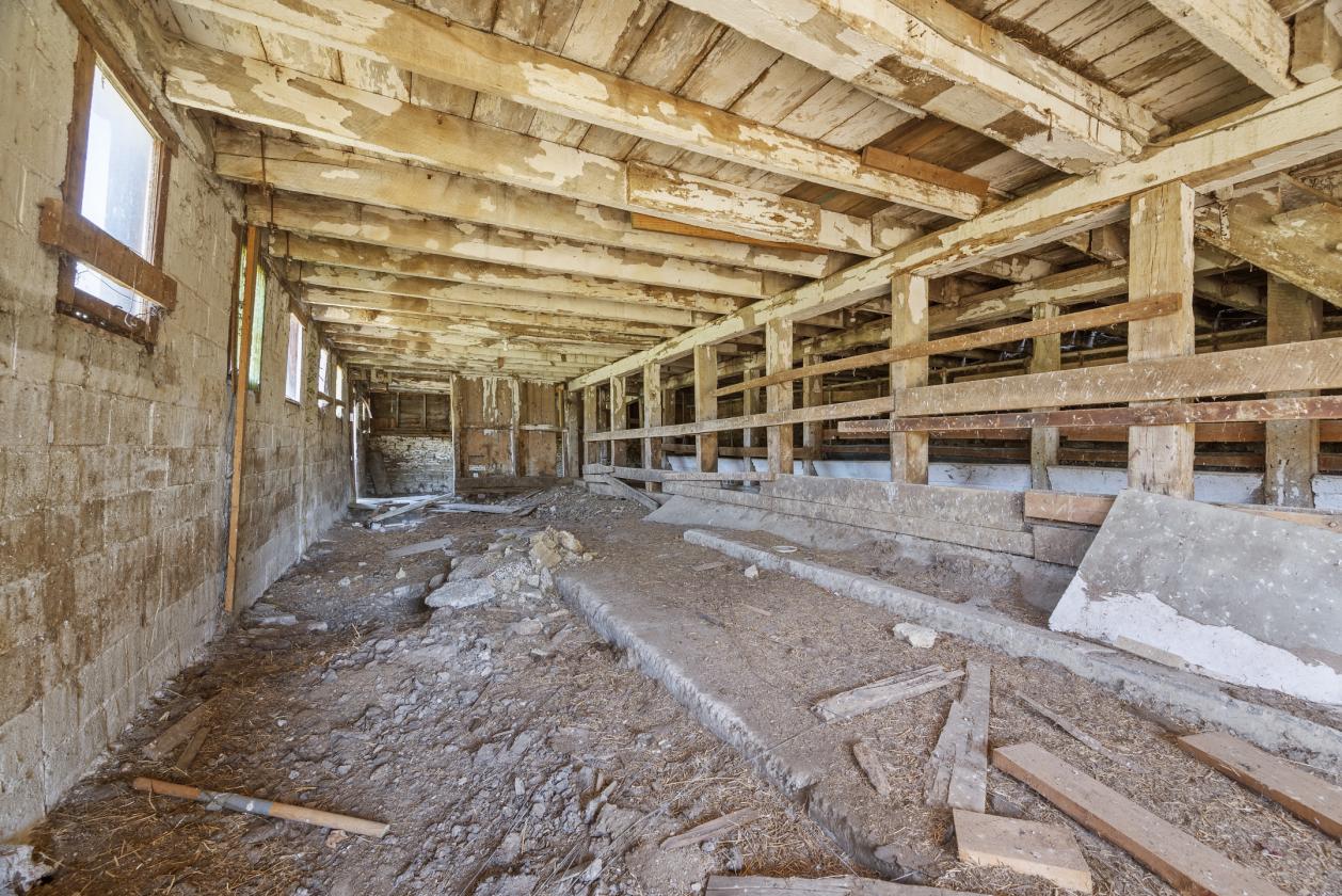 Room to Roam: 11.73 Acres with Classic Farmhouse - photo 18