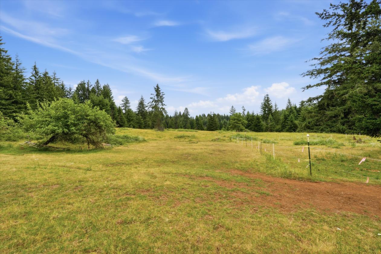 9.11 Acres with 8 Stall barn & Indoor Arena! - photo 28
