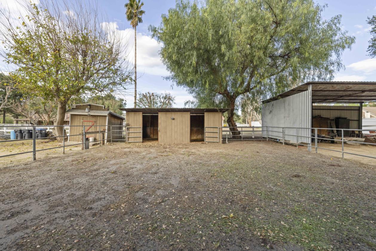 Amazing Horse Ranch just outside of Los Angeles - photo 21