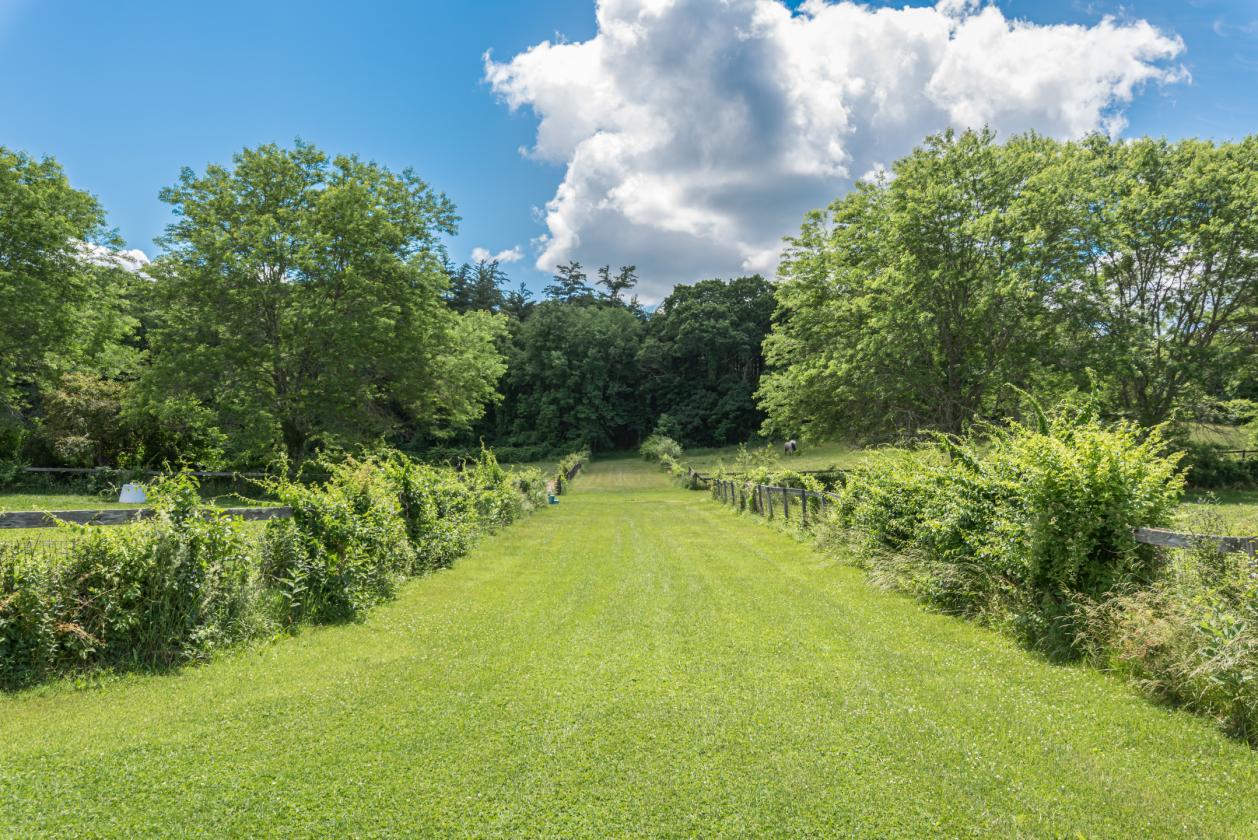 Thriving Equestrian Facility - photo 17