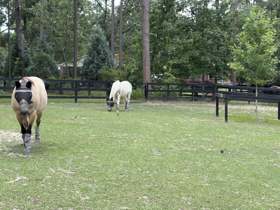 Foxchase Equestrian - photo 25