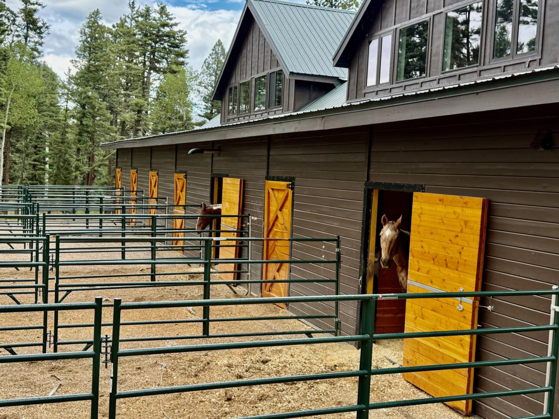 Horse Property Bordering Carson National Forest - photo 2