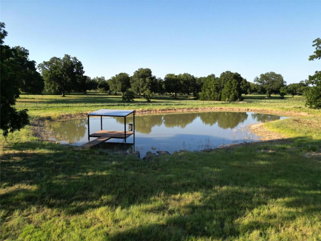 11 Acres of Pecan Trees - photo 6