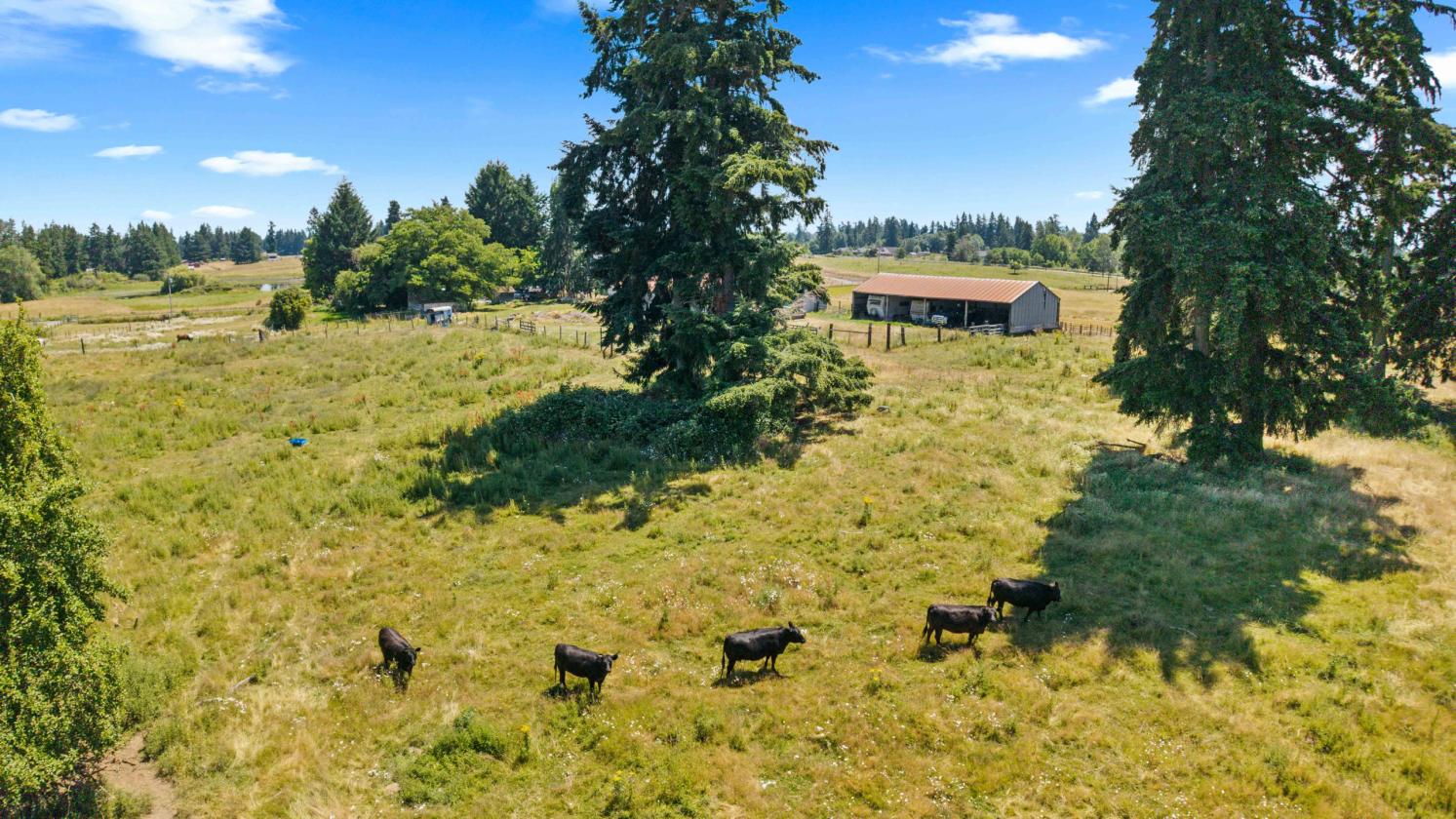 13.35 Acre Working Farm in Yelm, WA! - photo 10