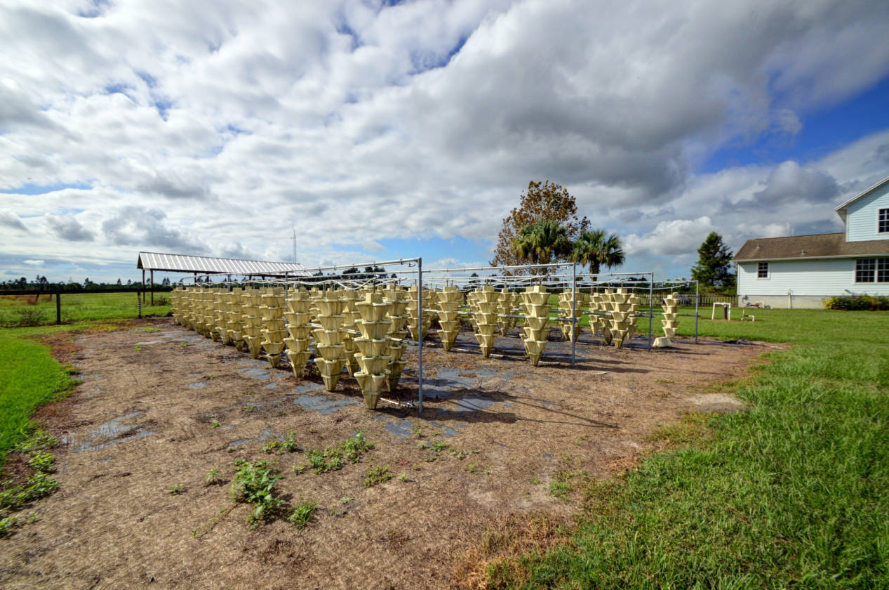 Enjoy the Country Life on a 20 Acre Farm Home! Vero Beach, Indian