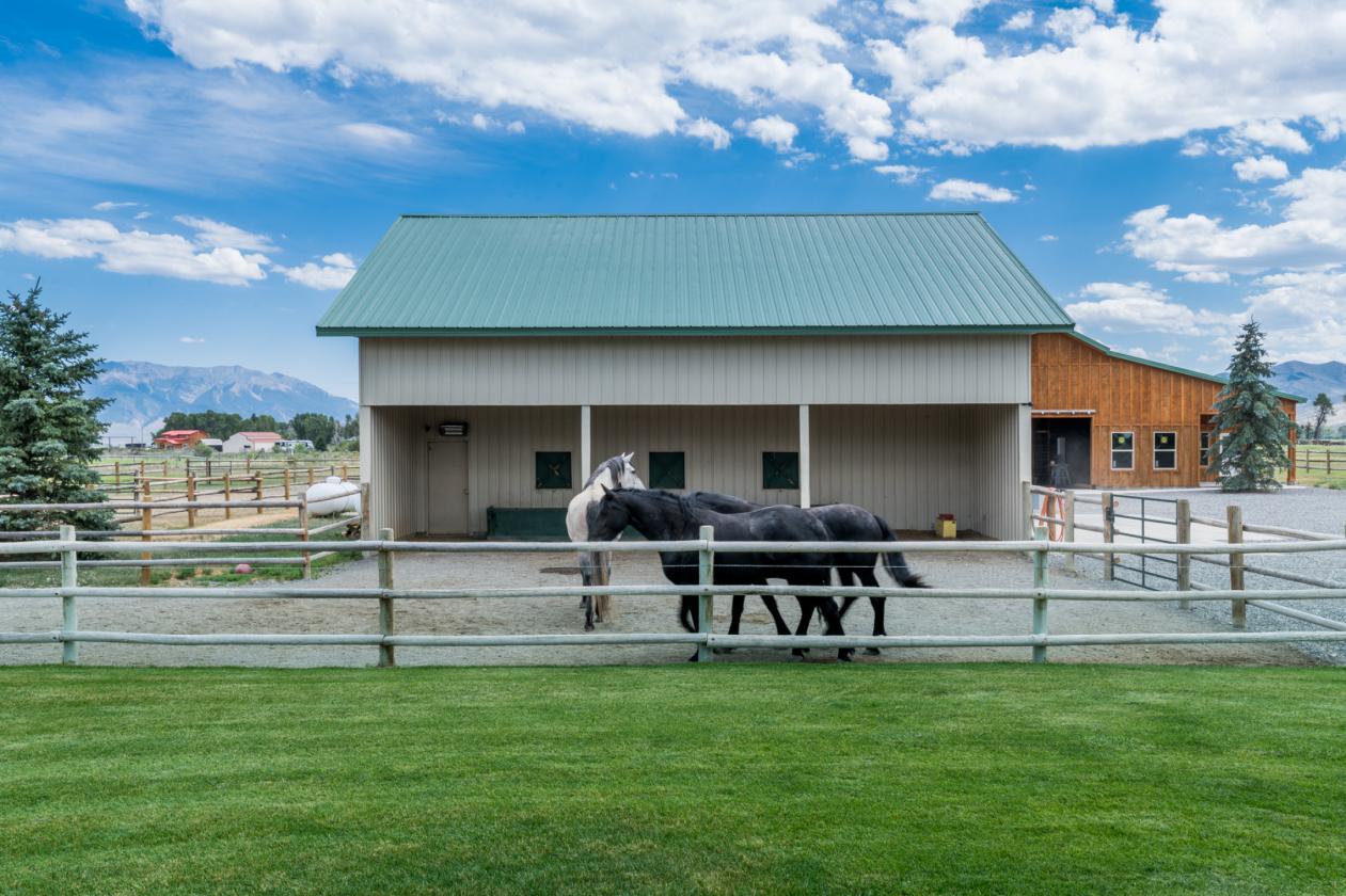 Turnkey Equestrian Estate, Stunning Views - photo 15