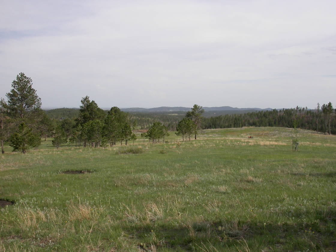 Black Hills Horse Property with stunning views and trails out... Keystone, Pennington County