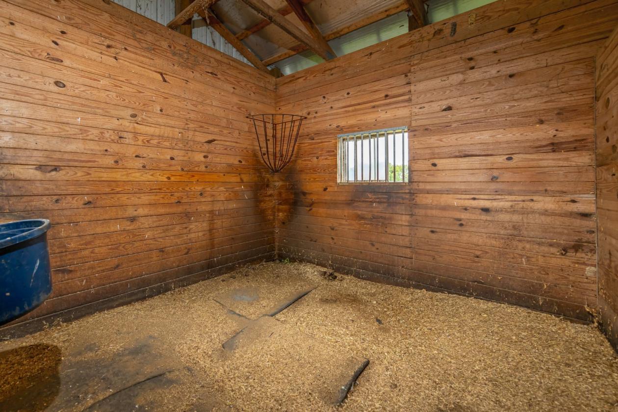 83.90 +/- Acre Estate with Farmhouse/Barn/Pool - photo 19