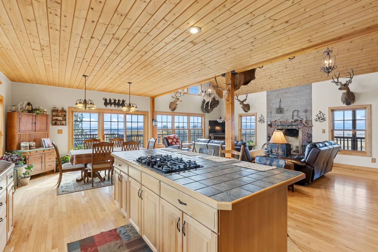360 Degree Mountain Views for your Horses! - photo 14