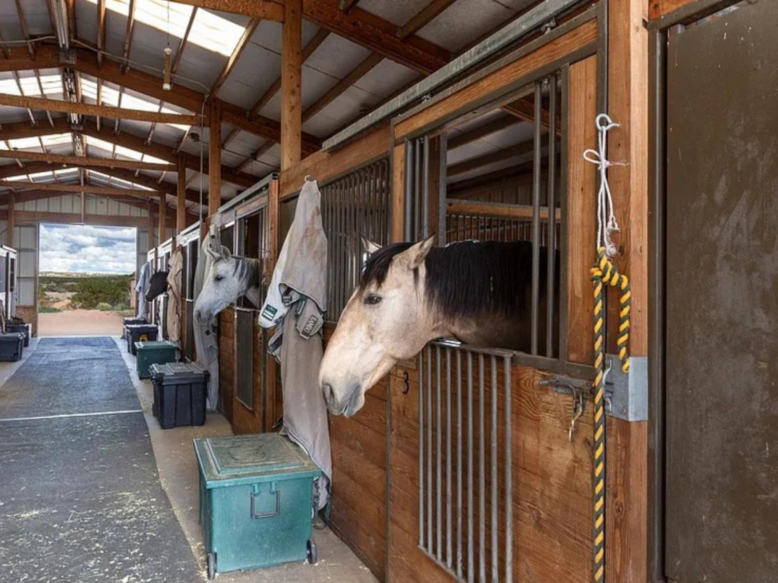 Established Santa Fe Equestrian Estate - photo 27