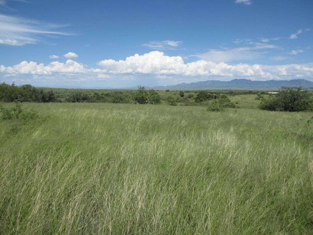 18+ acre Horse Property Near Sonoita, AZ Sonoita, Pima