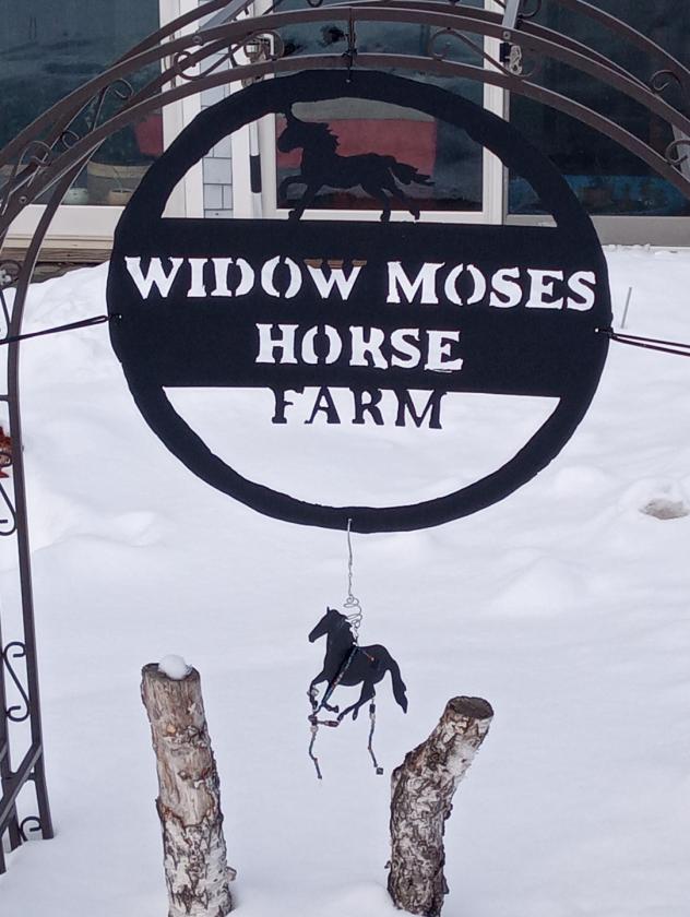 Charming 1914 farmhouse on a private horse farm - photo 27