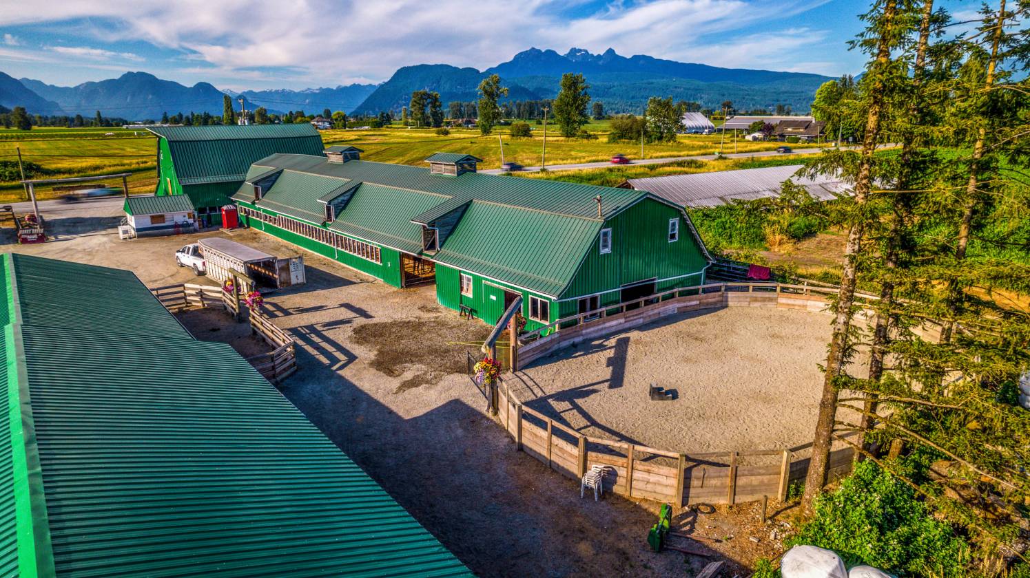 Horse Property for sale.