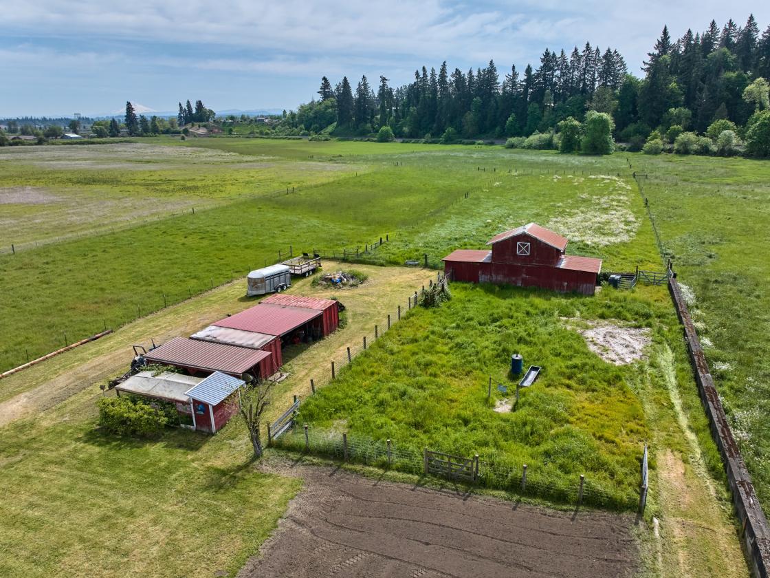 Horse Property in Aurora/Canby Area Deadend Road - photo 3