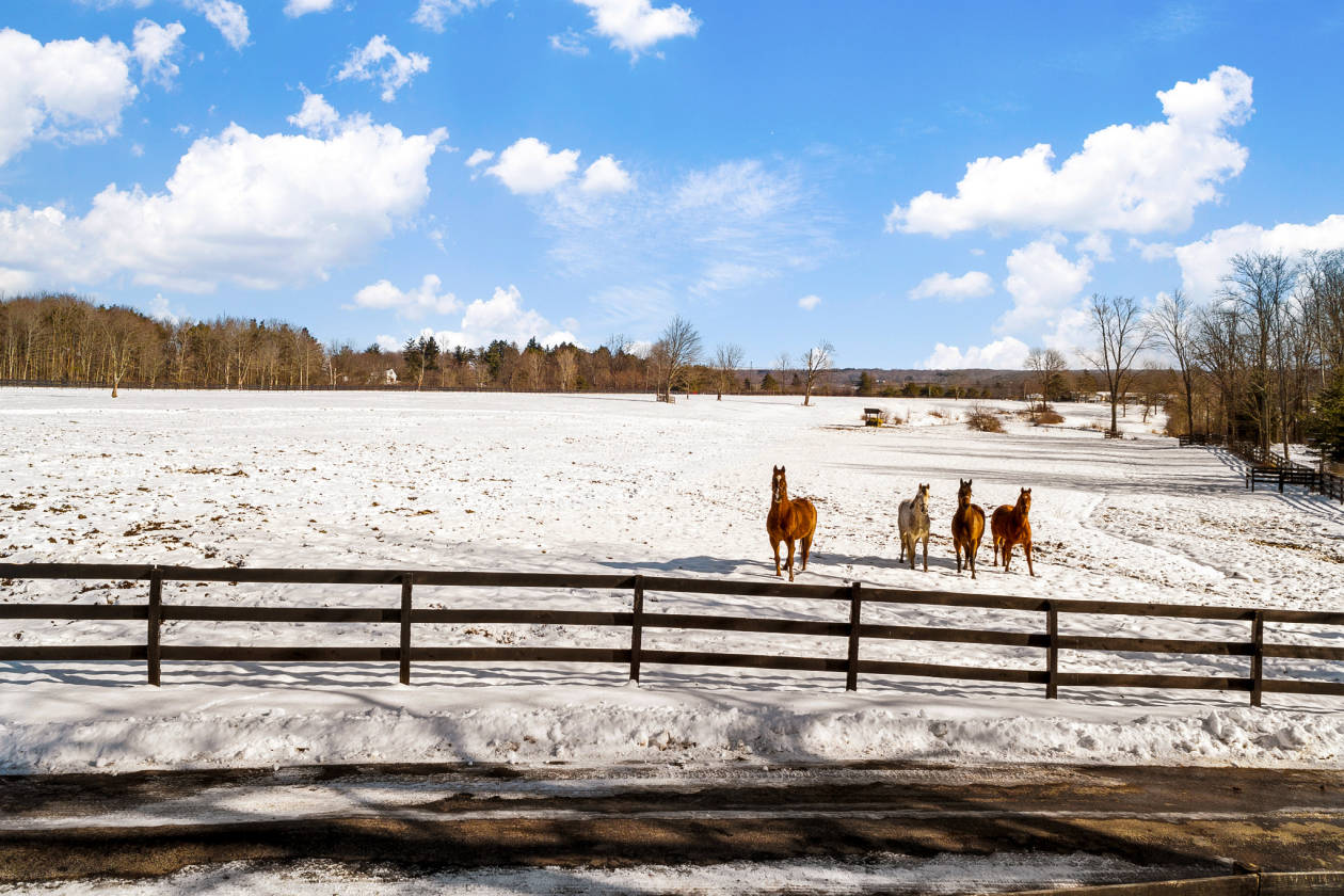 Horse Properties For Sale In Ohio Equestrian Property, Ranches