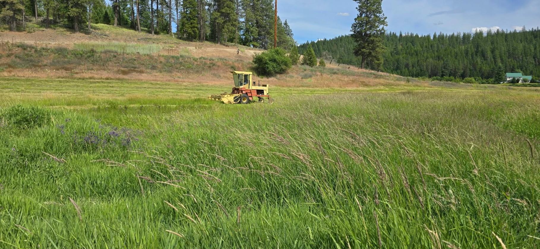 Blanchard Creek Valley - photo 3