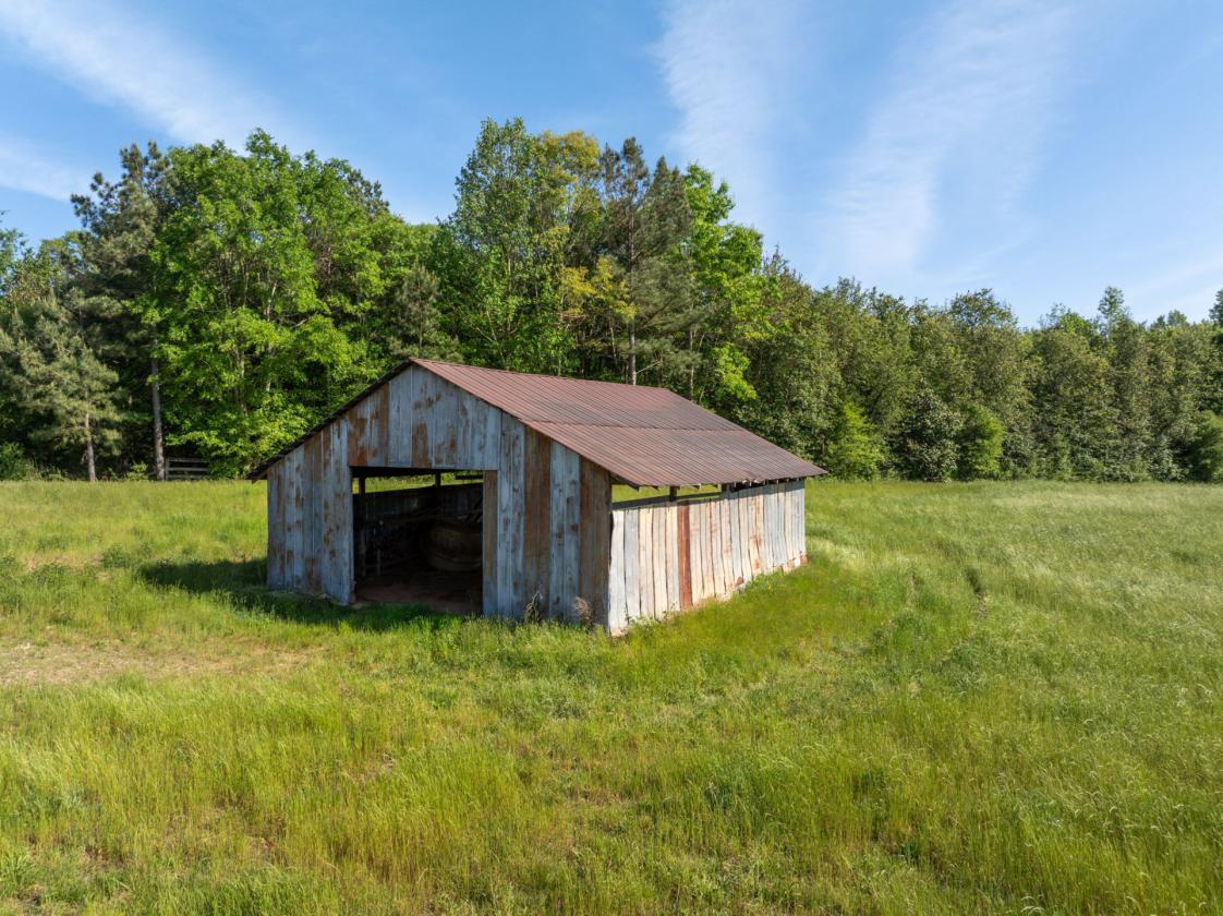 169 Acres, pastures, creeks, pond sites and trees - photo 4