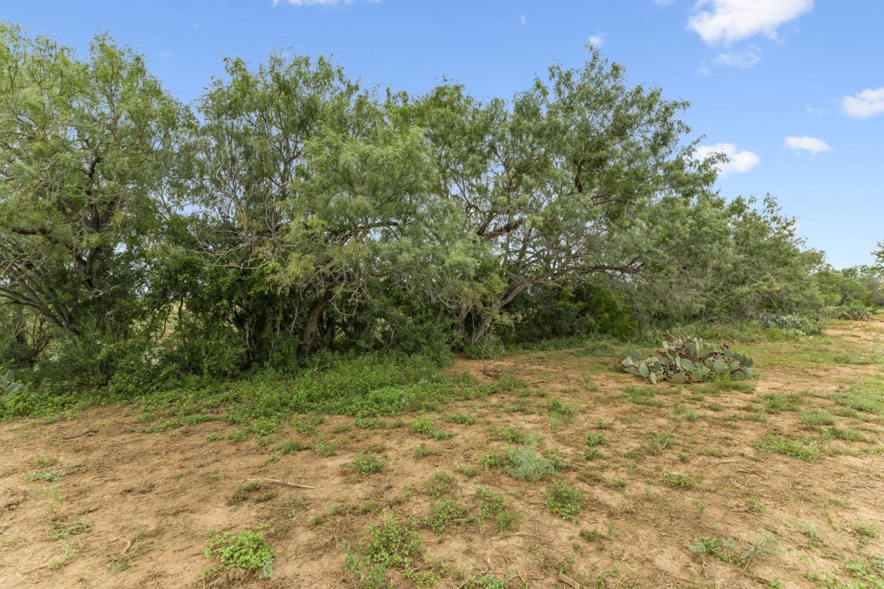 17.43 acres near Saint Hedwig - photo 4