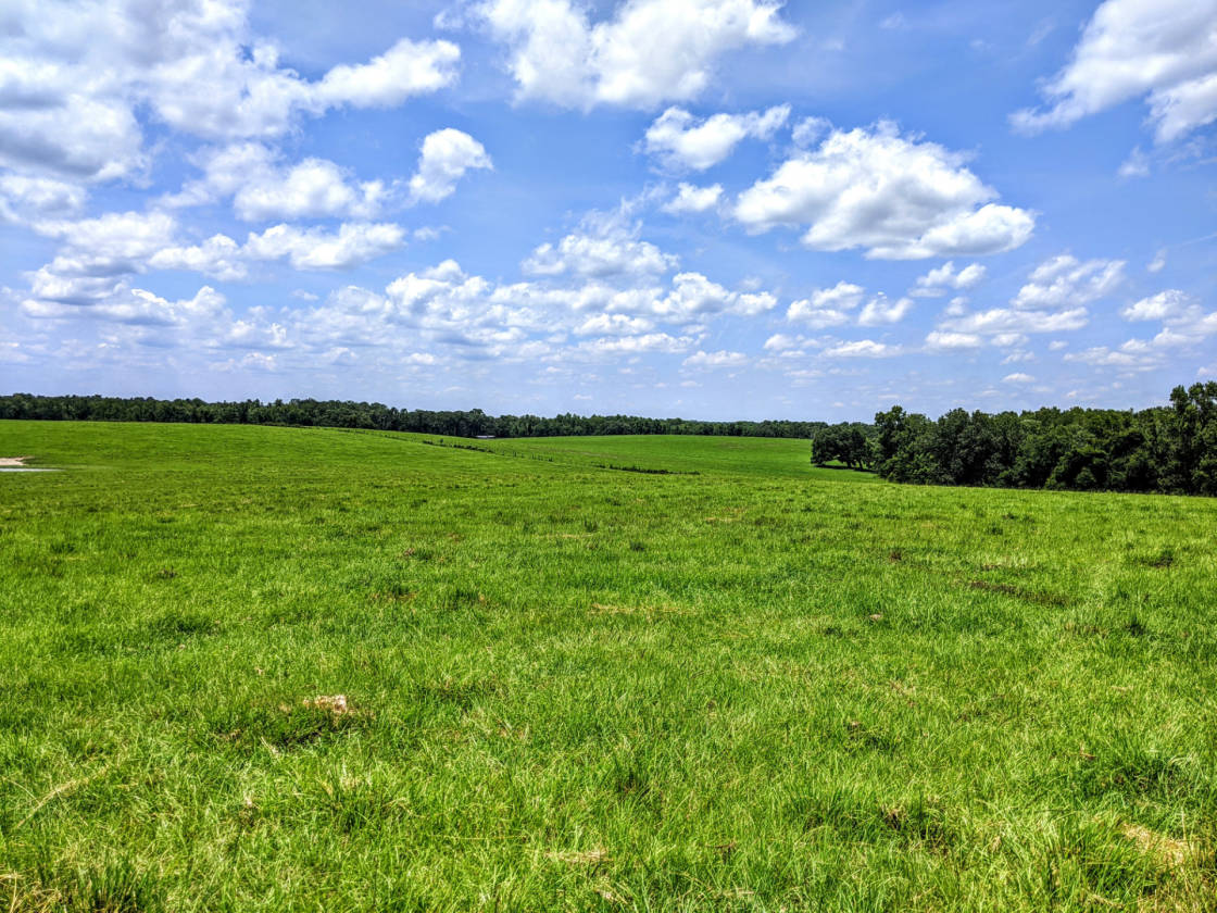 Rooks Ranch 2,193 Acres +\ Operating Cattle Ranch, Row Crop