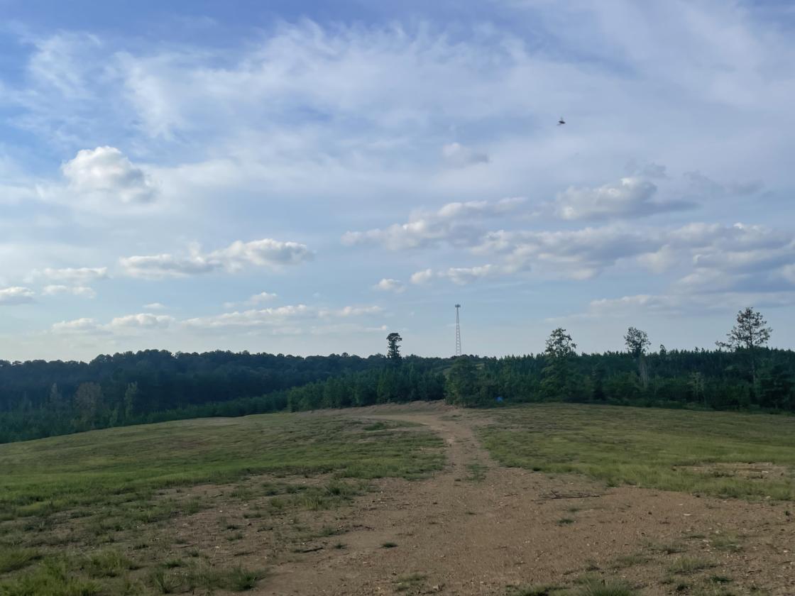 160 Acres in Shelby County w/ pastures and lake - photo 15