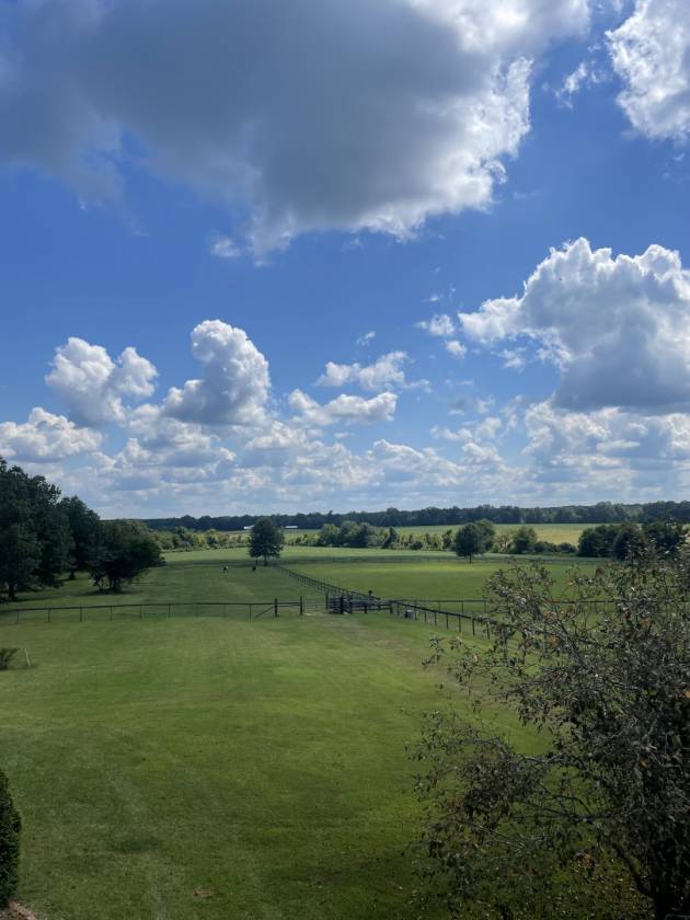 Horse Property for sale.