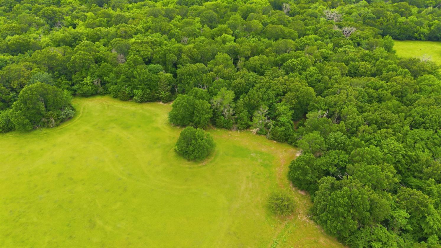 194 ACRE BREATHTAKING RANCH - photo 18