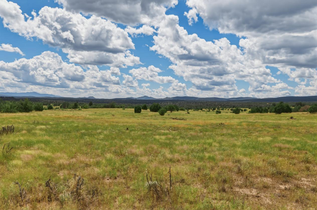 627 Acres in Yavapai County - photo 16