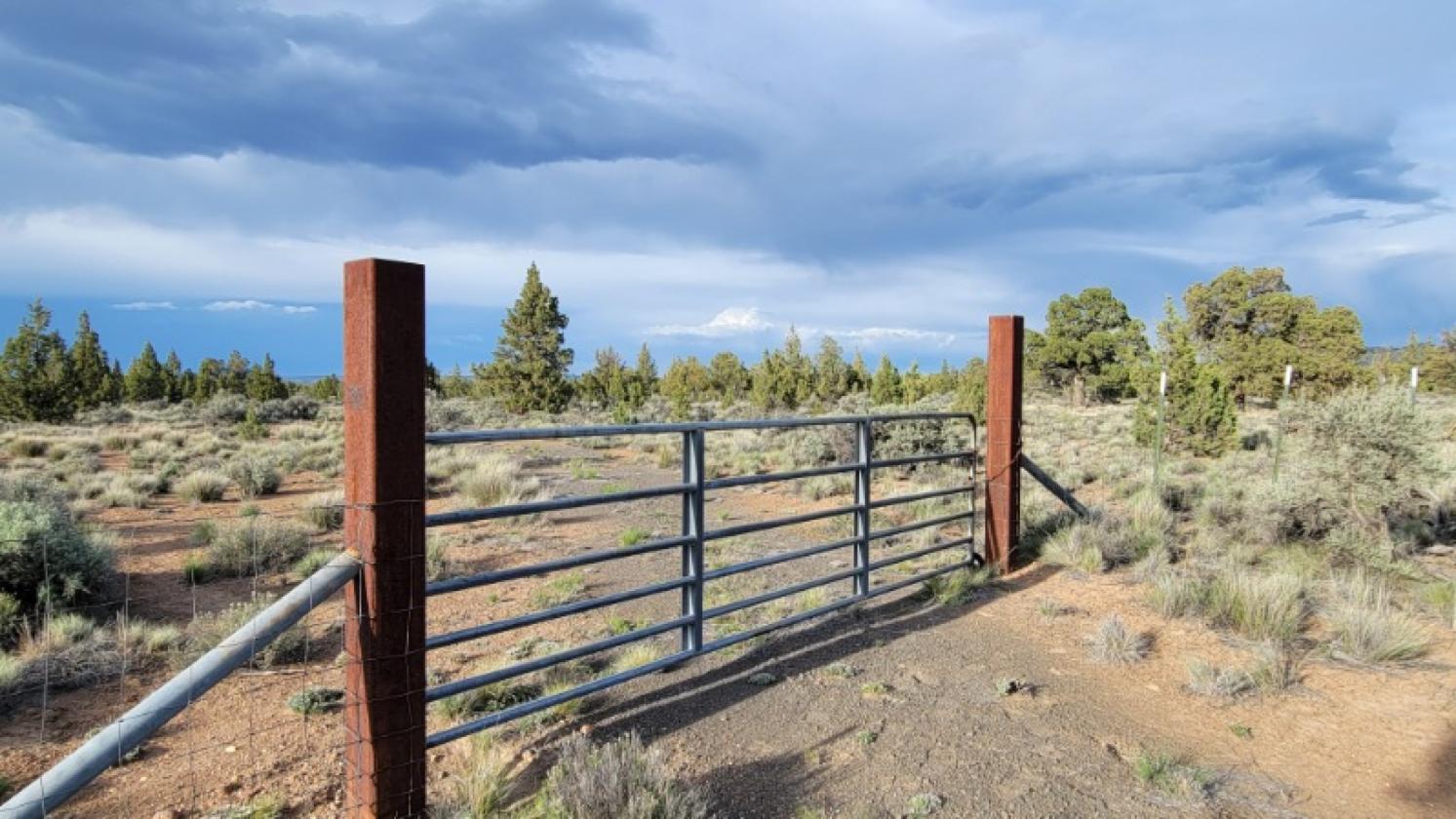 9.8 Buildable acres / Cross fenced - photo 1