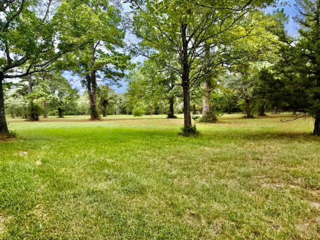 EXCEPTIONAL COUNTRY ESTATE READY FOR HORSES - photo 7