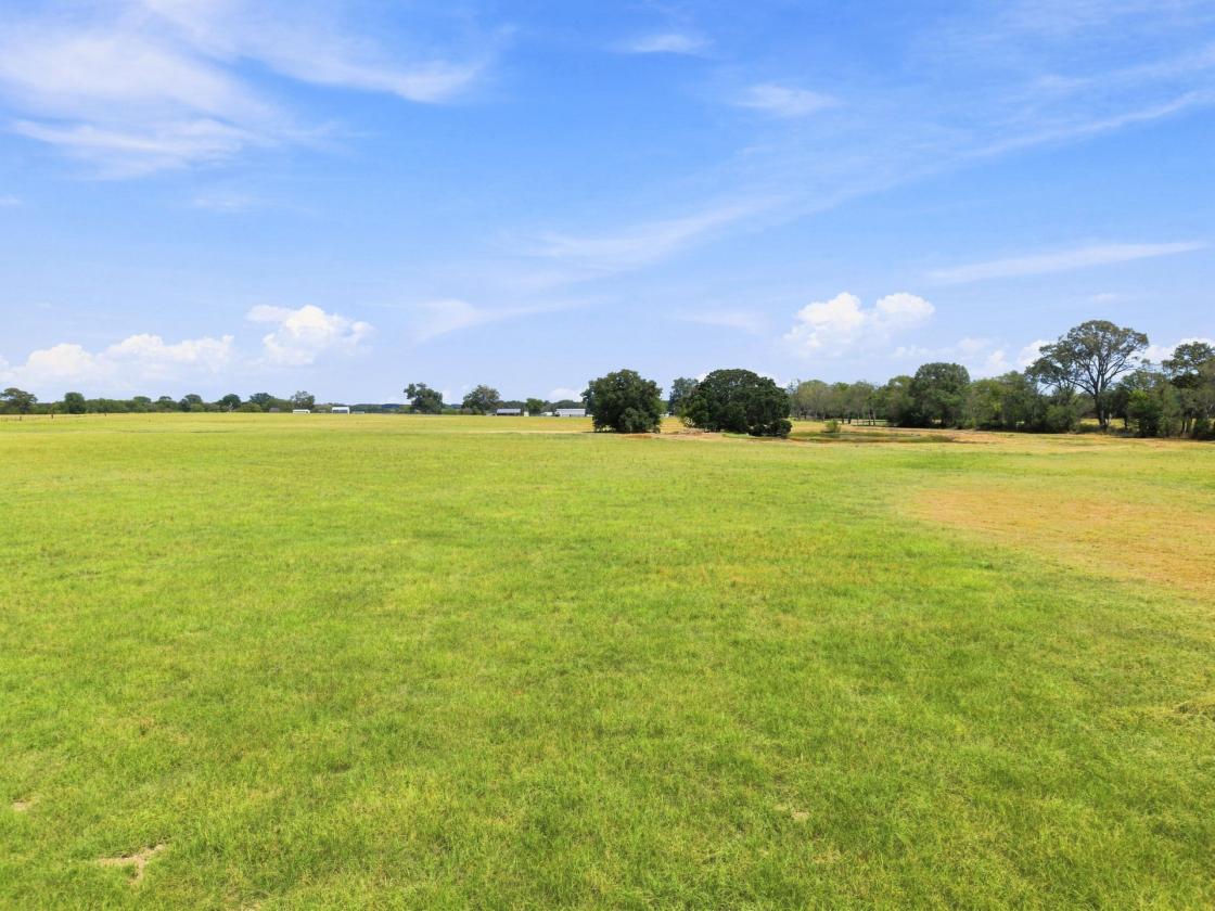 Wide-Open 18± Acres for Horses & Country Living - photo 6