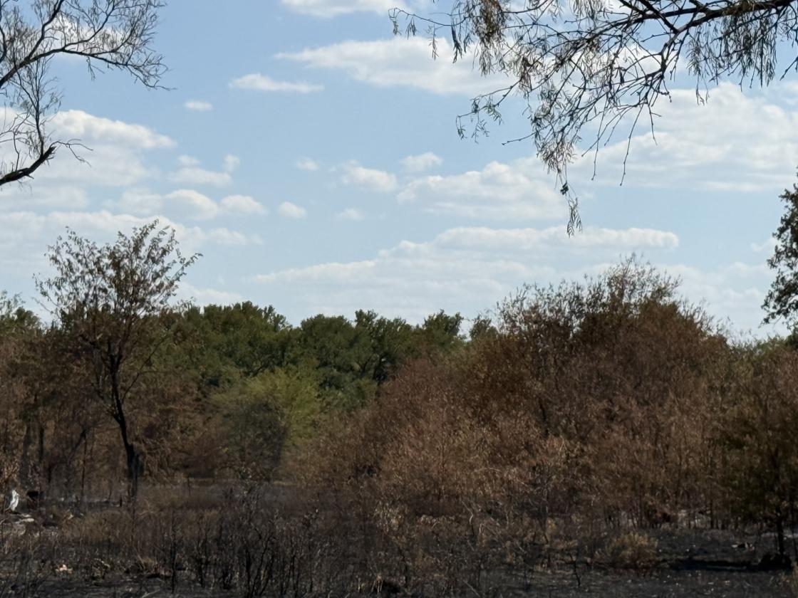 AG EXEMPT 97+ ACRES WITH PASTURE LAND & 4 TANKS - photo 7