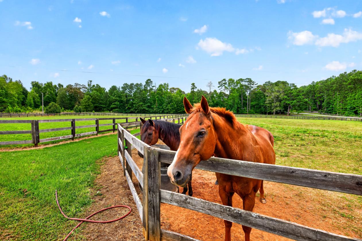 Your Horse Farm Dream Realized - photo 5