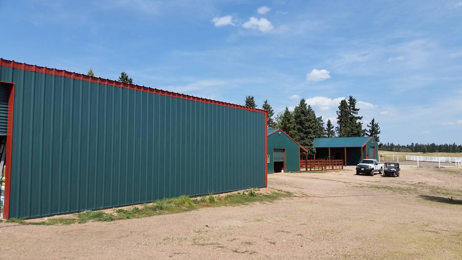 Colorado Equestrian Property Divide, Teller County, Colorado \ Horse