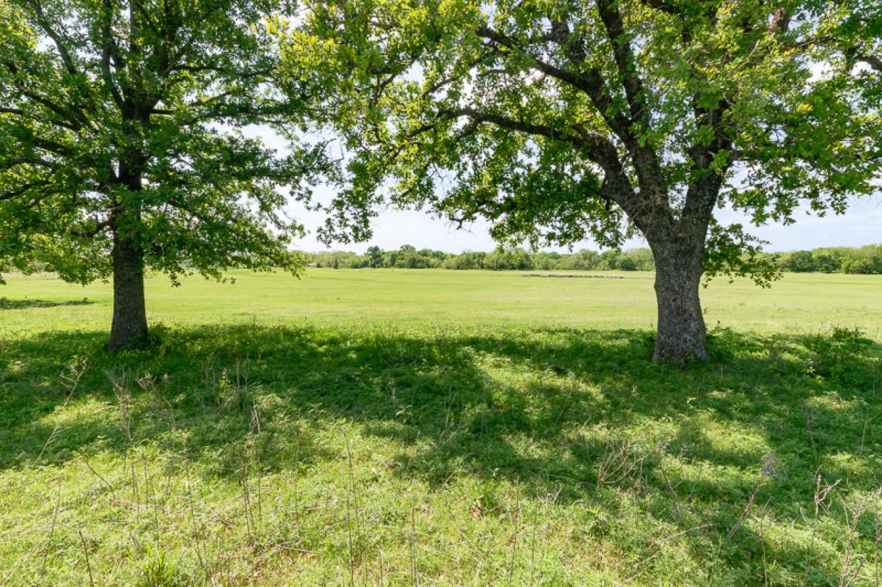 Scenic 64 Acre Horse & Cattle Property - photo 21