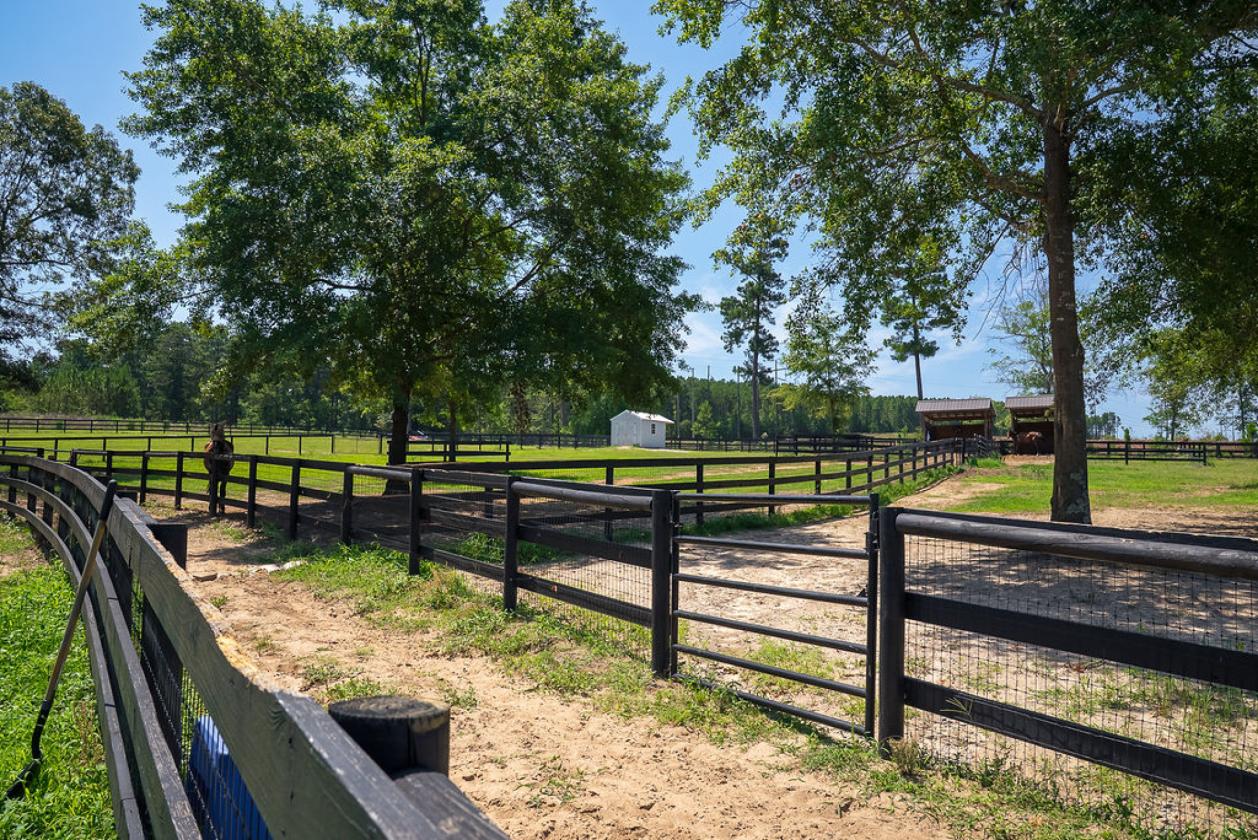 Horse-Ready in Aiken’s Goodsprings Plantation - photo 6